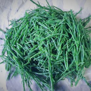 Salicórnia fresca - caixa de 1kg